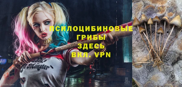 крисы Рославль