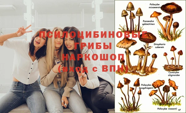мдма Саяногорск