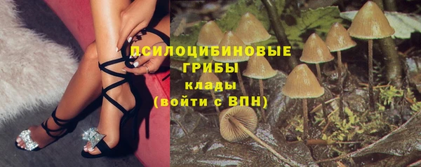 крисы Рославль