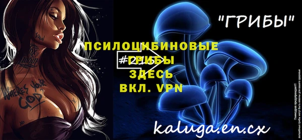 крисы Рославль