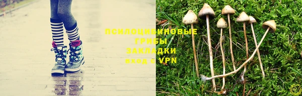 крисы Рославль