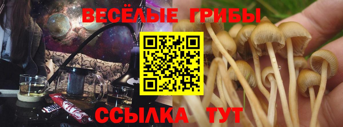 Псилоцибиновые грибы MAGIC MUSHROOMS Усть-Лабинск